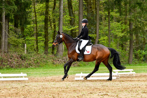Quali für Goldene Schärpe Ponys in Berge   6+7.5.23 | Jara Fricke  mit Sir Lancelot_06 