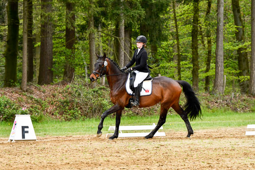 Quali für Goldene Schärpe Ponys in Berge   6+7.5.23 | Jara Fricke  mit Sir Lancelot_07 
