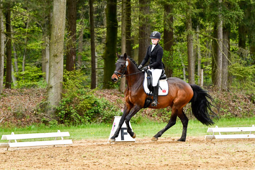 Quali für Goldene Schärpe Ponys in Berge   6+7.5.23 | Jara Fricke  mit Sir Lancelot_08 