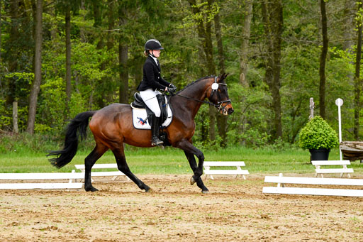 Quali für Goldene Schärpe Ponys in Berge   6+7.5.23 | Jara Fricke  mit Sir Lancelot_09 