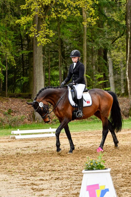 Quali für Goldene Schärpe Ponys in Berge   6+7.5.23 | Jara Fricke  mit Sir Lancelot_11 