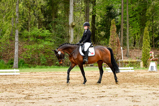 Quali für Goldene Schärpe Ponys in Berge   6+7.5.23 | Jara Fricke  mit Sir Lancelot_12 