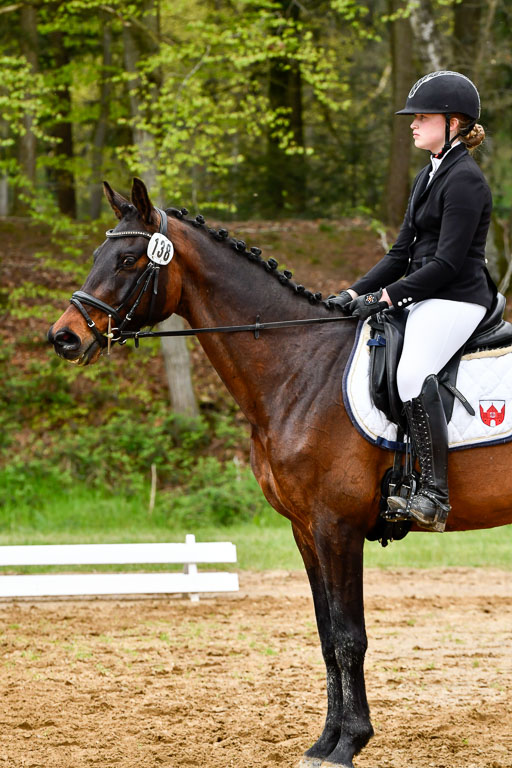 Quali für Goldene Schärpe Ponys in Berge   6+7.5.23 | Jara Fricke  mit Sir Lancelot_13 