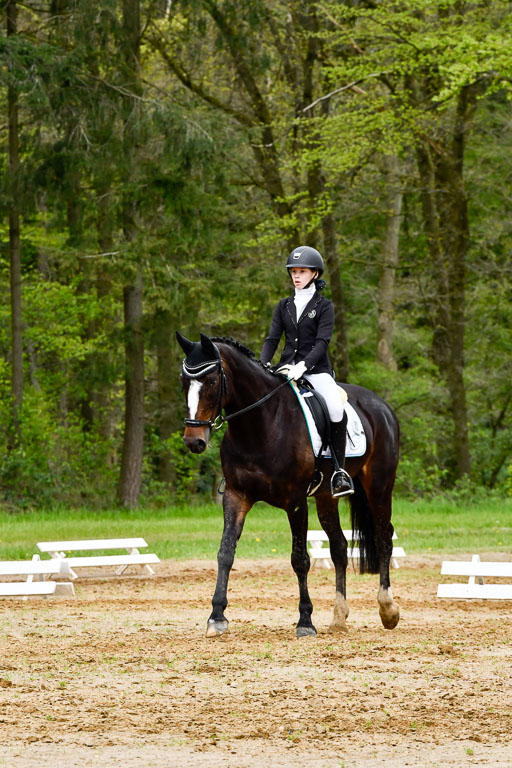 Quali für Goldene Schärpe Ponys in Berge   6+7.5.23 | Jette Kuhlmann - Haley 