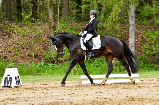 Quali für Goldene Schärpe Ponys in Berge   6+7.5.23 | Jette Kuhlmann - Haley_05 
