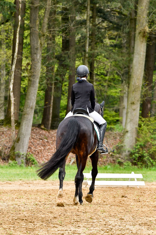 Quali für Goldene Schärpe Ponys in Berge   6+7.5.23 | Jette Kuhlmann - Haley_06 