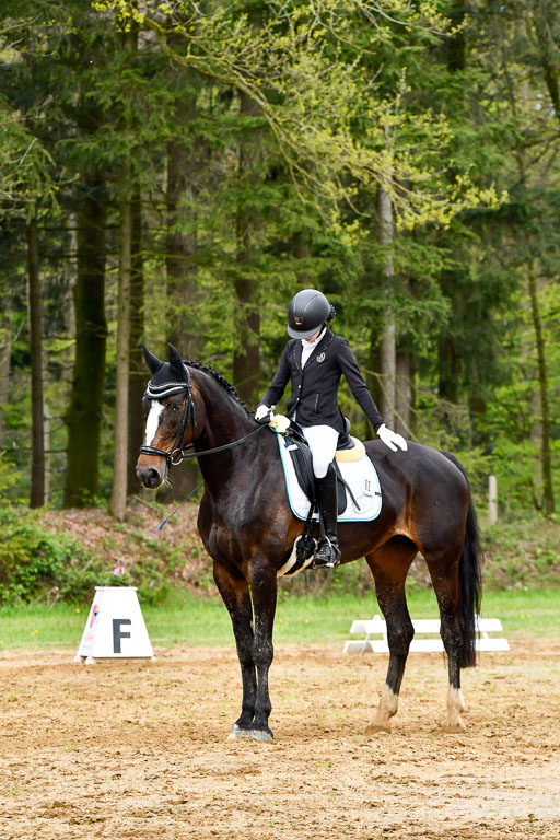 Quali für Goldene Schärpe Ponys in Berge   6+7.5.23 | Jette Kuhlmann - Haley_10 