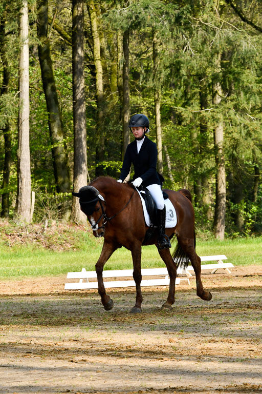 Quali für Goldene Schärpe Ponys in Berge   6+7.5.23 | Lara Kosch - Calimero 