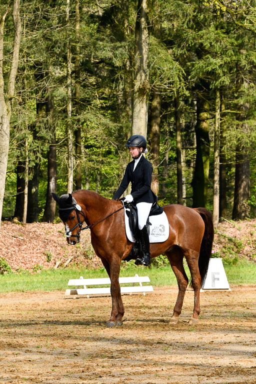 Quali für Goldene Schärpe Ponys in Berge   6+7.5.23 | Lara Kosch - Calimero_01 