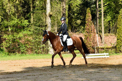 Quali für Goldene Schärpe Ponys in Berge   6+7.5.23 | Lara Kosch - Calimero_02 