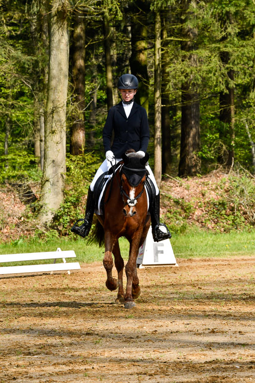 Quali für Goldene Schärpe Ponys in Berge   6+7.5.23 | Lara Kosch - Calimero_03 