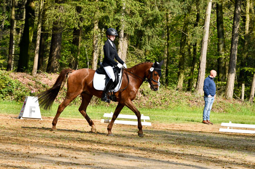 Quali für Goldene Schärpe Ponys in Berge   6+7.5.23 | Lara Kosch - Calimero_05 