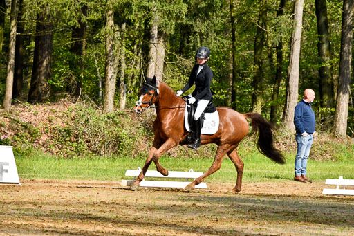 Quali für Goldene Schärpe Ponys in Berge   6+7.5.23 | Lara Kosch - Calimero_06 