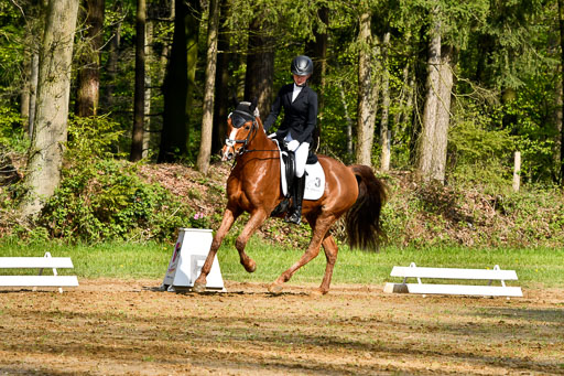 Quali für Goldene Schärpe Ponys in Berge   6+7.5.23 | Lara Kosch - Calimero_07 