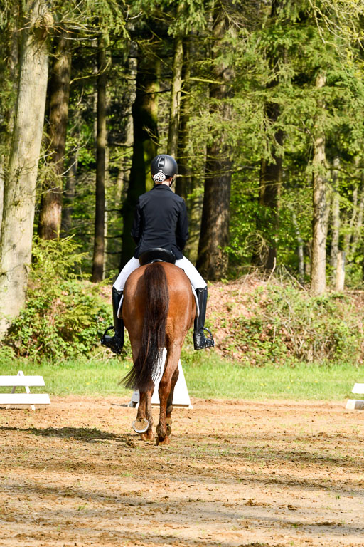 Quali für Goldene Schärpe Ponys in Berge   6+7.5.23 | Lara Kosch - Calimero_08 