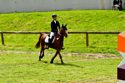 Quali für Goldene Schärpe Ponys in Berge   6+7.5.23 | Lara Kosch - Calimero_17 