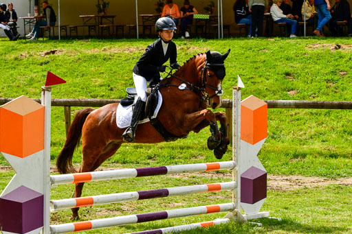 Quali für Goldene Schärpe Ponys in Berge   6+7.5.23 | Lara Kosch - Calimero_19 
