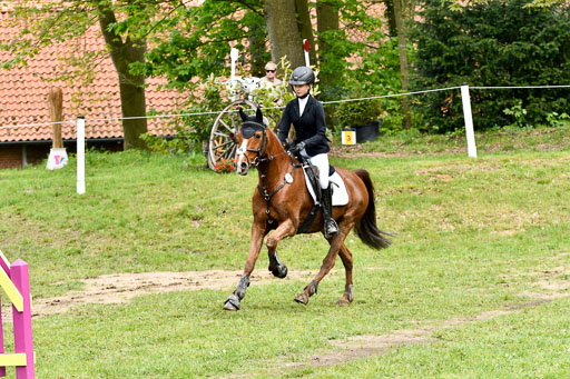 Quali für Goldene Schärpe Ponys in Berge   6+7.5.23 | Lara Kosch - Calimero_22 