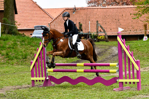 Quali für Goldene Schärpe Ponys in Berge   6+7.5.23 | Lara Kosch - Calimero_24 