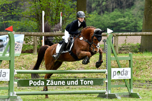 Quali für Goldene Schärpe Ponys in Berge   6+7.5.23 | Lara Kosch - Calimero_28 