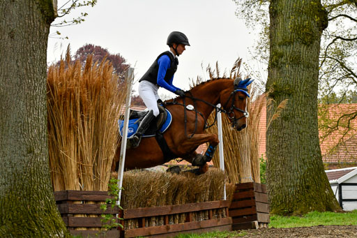 Quali für Goldene Schärpe Ponys in Berge   6+7.5.23 | Lara Kosch - Calimero_41 