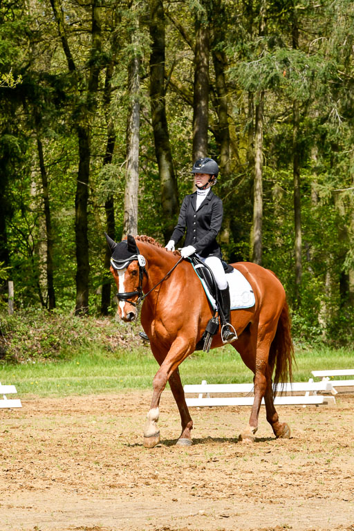 Quali für Goldene Schärpe Ponys in Berge   6+7.5.23 | Lara Sieker - Domino 