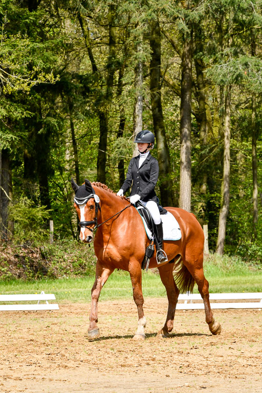 Quali für Goldene Schärpe Ponys in Berge   6+7.5.23 | Lara Sieker - Domino_01 