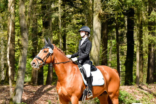 Quali für Goldene Schärpe Ponys in Berge   6+7.5.23 | Lara Sieker - Domino_02 