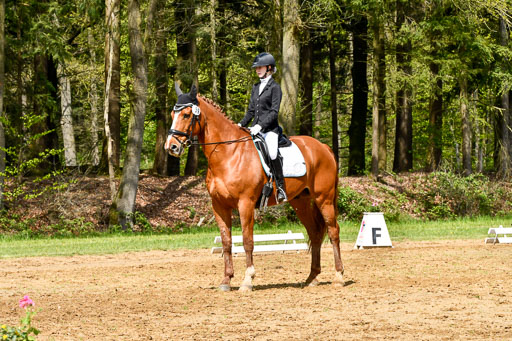 Quali für Goldene Schärpe Ponys in Berge   6+7.5.23 | Lara Sieker - Domino_03 