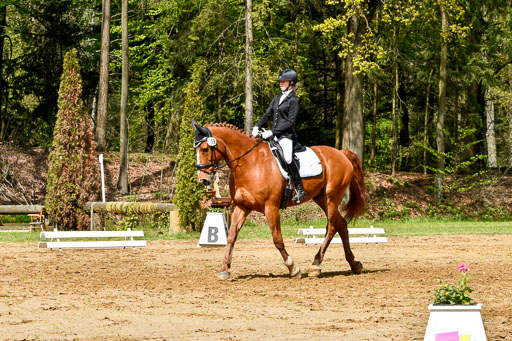 Quali für Goldene Schärpe Ponys in Berge   6+7.5.23 | Lara Sieker - Domino_04 