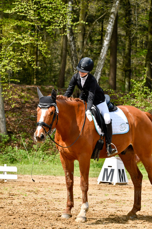 Quali für Goldene Schärpe Ponys in Berge   6+7.5.23 | Lara Sieker - Domino_20 