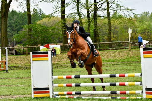 Quali für Goldene Schärpe Ponys in Berge   6+7.5.23 | Lara Sieker - Domino_21 