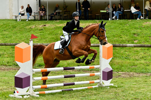 Quali für Goldene Schärpe Ponys in Berge   6+7.5.23 | Lara Sieker - Domino_23 