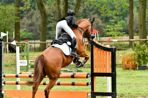Quali für Goldene Schärpe Ponys in Berge   6+7.5.23 | Lara Sieker - Domino_24 