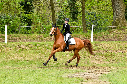 Quali für Goldene Schärpe Ponys in Berge   6+7.5.23 | Lara Sieker - Domino_25 