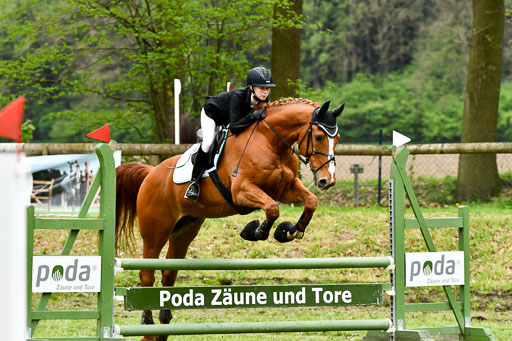 Quali für Goldene Schärpe Ponys in Berge   6+7.5.23 | Lara Sieker - Domino_27 