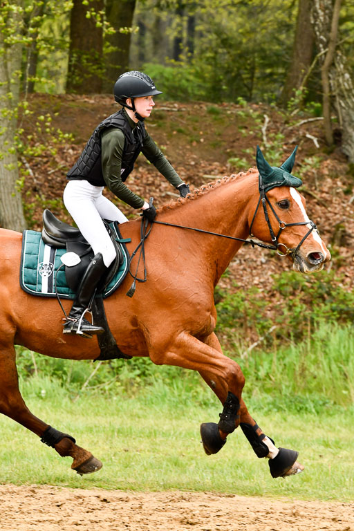 Quali für Goldene Schärpe Ponys in Berge   6+7.5.23 | Lara Sieker - Domino_44 