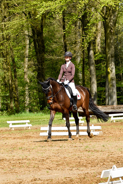 Quali für Goldene Schärpe Ponys in Berge   6+7.5.23 | Leni Schräder - Christal Heart 