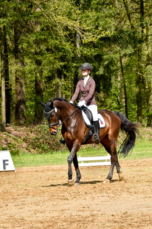 Quali für Goldene Schärpe Ponys in Berge   6+7.5.23 | Leni Schräder - Christal Heart_01 