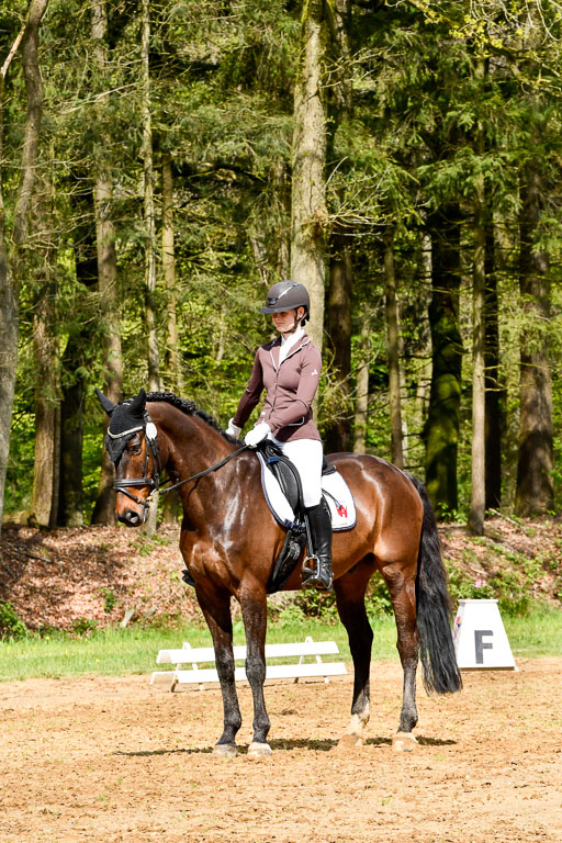 Quali für Goldene Schärpe Ponys in Berge   6+7.5.23 | Leni Schräder - Christal Heart_02 