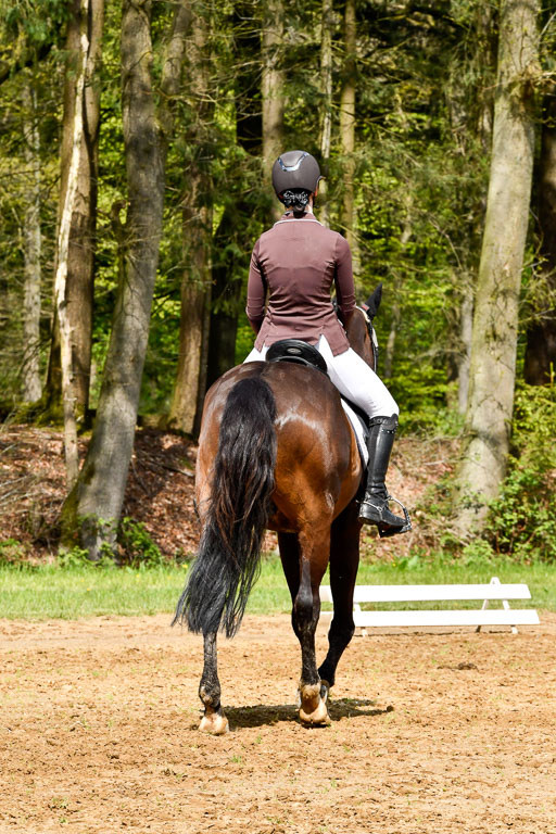 Quali für Goldene Schärpe Ponys in Berge   6+7.5.23 | Leni Schräder - Christal Heart_10 