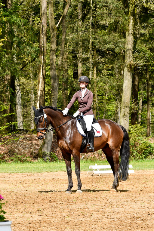 Quali für Goldene Schärpe Ponys in Berge   6+7.5.23 | Leni Schräder - Christal Heart_15 