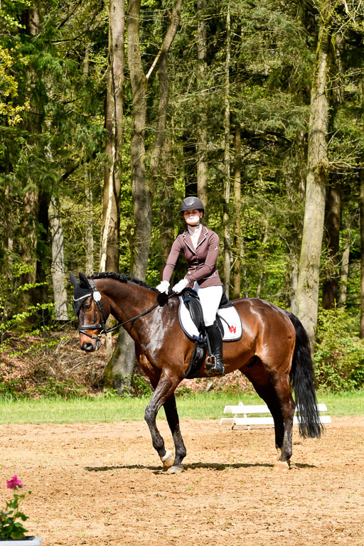 Quali für Goldene Schärpe Ponys in Berge   6+7.5.23 | Leni Schräder - Christal Heart_16 