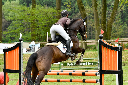 Quali für Goldene Schärpe Ponys in Berge   6+7.5.23 | Leni Schräder - Christal Heart_21 