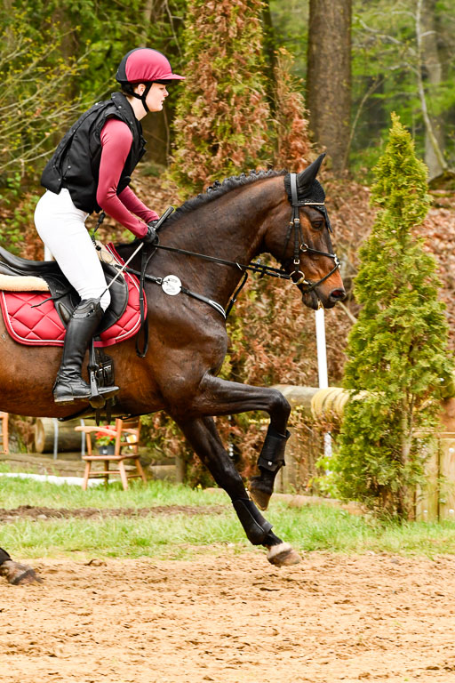 Quali für Goldene Schärpe Ponys in Berge   6+7.5.23 | Leni Schräder - Christal Heart_49 