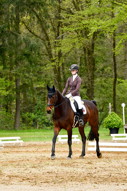 Quali für Goldene Schärpe Ponys in Berge   6+7.5.23 | Leni Schräder - Denver 