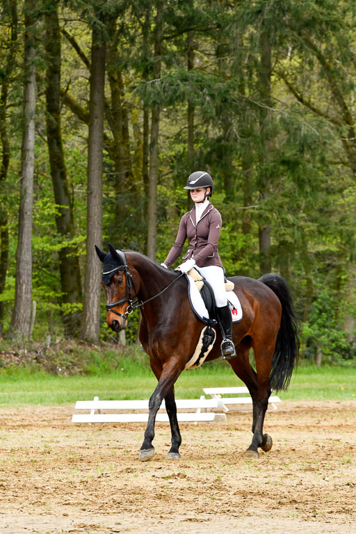 Quali für Goldene Schärpe Ponys in Berge   6+7.5.23 | Leni Schräder - Denver_01 