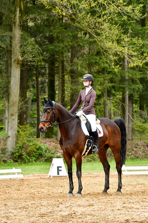 Quali für Goldene Schärpe Ponys in Berge   6+7.5.23 | Leni Schräder - Denver_02 