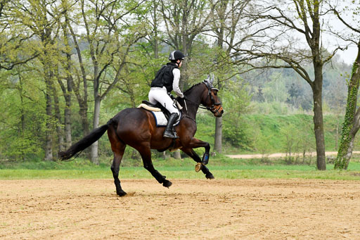 Quali für Goldene Schärpe Ponys in Berge   6+7.5.23 | Leni Schräder - Denver_41 