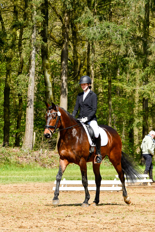 Quali für Goldene Schärpe Ponys in Berge   6+7.5.23 | Lenja Grote Hölmann - Chaccos Cariono 